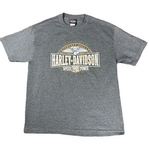 Harley Davidson Budapest Hungary Gray‎ Medium Large T-Shirt Motorcycle